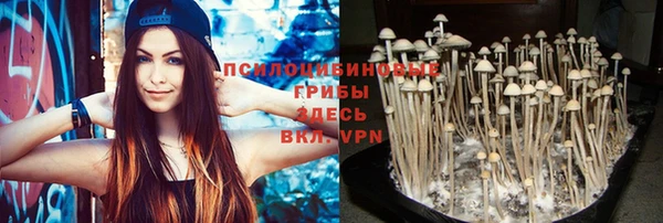 ALPHA PVP Алексин